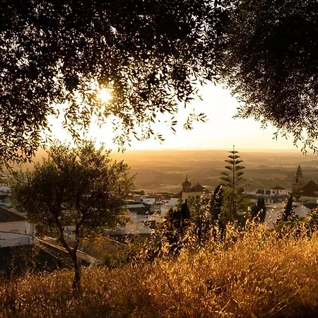 El Sur * Medina-Sidonia